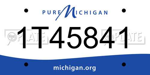 1T45841 Michigan License Plate
