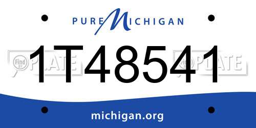 1T48541 Michigan License Plate