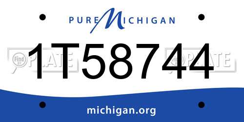 1T58744 Michigan License Plate