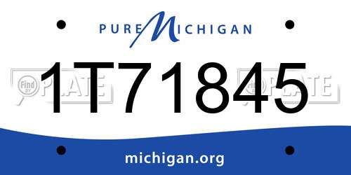 1T71845 Michigan License Plate