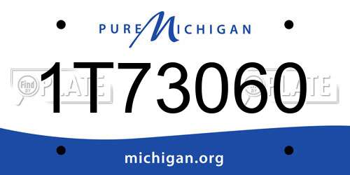1T73060 Michigan License Plate