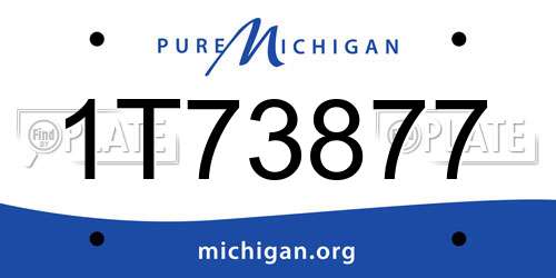 1T73877 Michigan License Plate