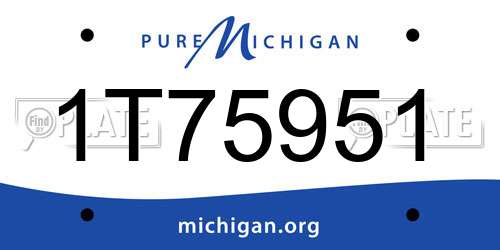 1T75951 Michigan License Plate