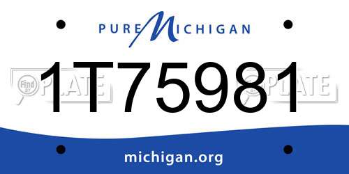 1T75981 Michigan License Plate