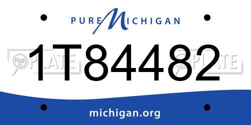 1T84482 Michigan License Plate