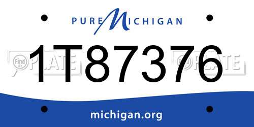 1T87376 Michigan License Plate