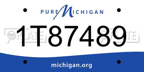 1T87489 Michigan License Plate