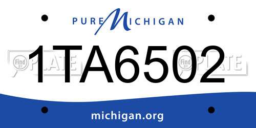 1TA6502 Michigan License Plate