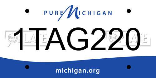1TAG220 Michigan License Plate