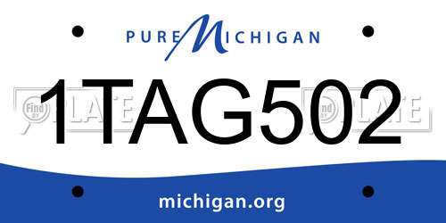 1TAG502 Michigan License Plate