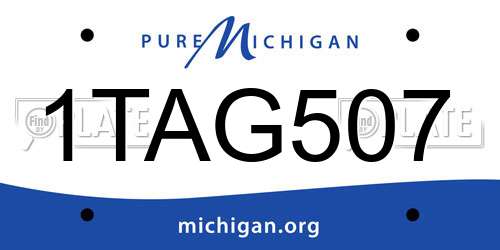 1TAG507 Michigan License Plate