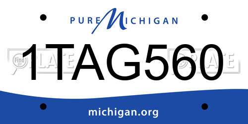 1TAG560 Michigan License Plate