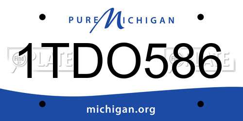 1TDO586 Michigan License Plate