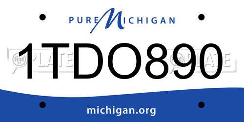 1TDO890 Michigan License Plate