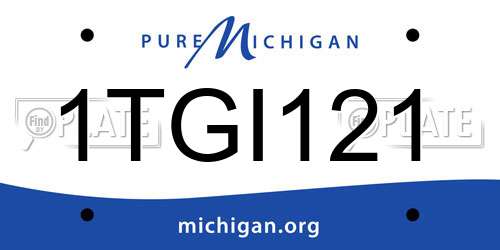 1TGI121 Michigan License Plate