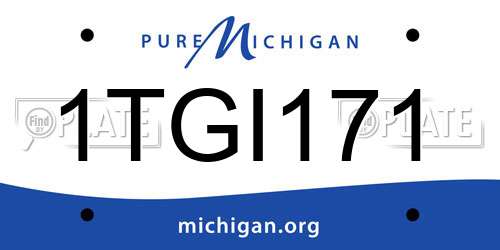 1TGI171 Michigan License Plate