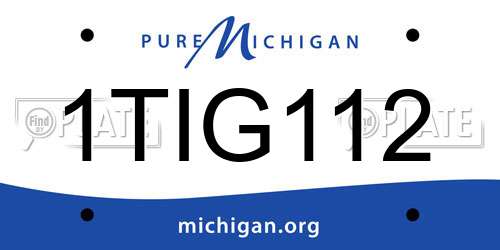 1TIG112 Michigan License Plate
