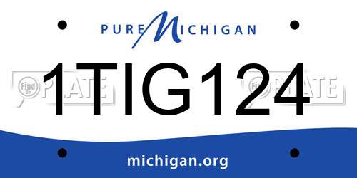 1TIG124 Michigan License Plate