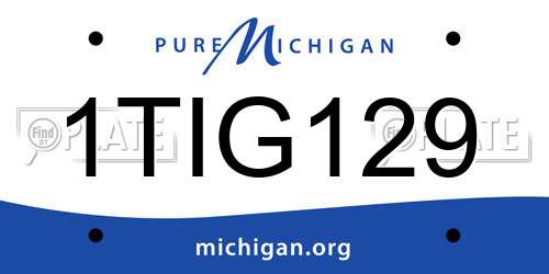 1TIG129 Michigan License Plate