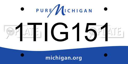 1TIG151 Michigan License Plate