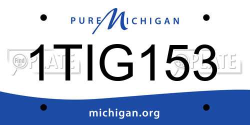 1TIG153 Michigan License Plate