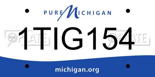 1TIG154 Michigan License Plate