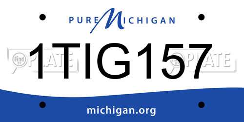 1TIG157 Michigan License Plate