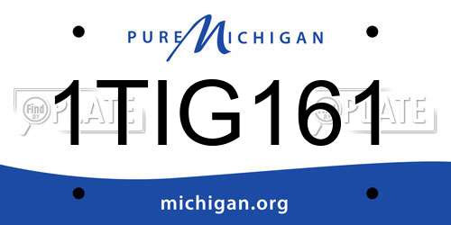 1TIG161 Michigan License Plate