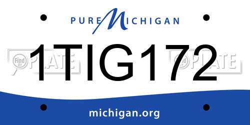 1TIG172 Michigan License Plate