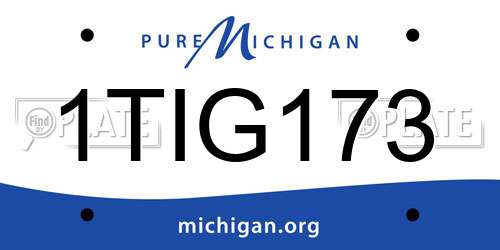 1TIG173 Michigan License Plate