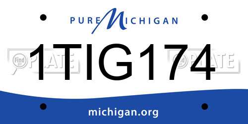 1TIG174 Michigan License Plate