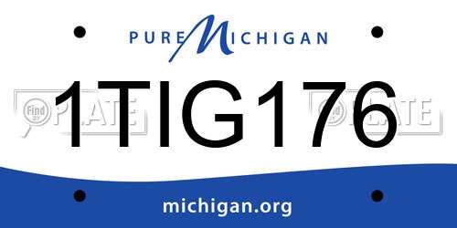1TIG176 Michigan License Plate