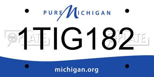 1TIG182 Michigan License Plate