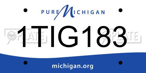 1TIG183 Michigan License Plate