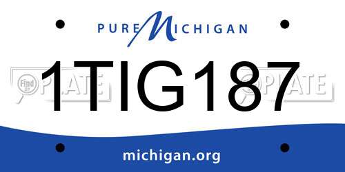 1TIG187 Michigan License Plate