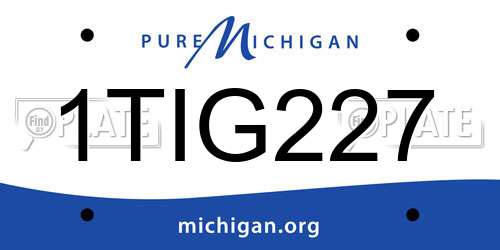 1TIG227 Michigan License Plate