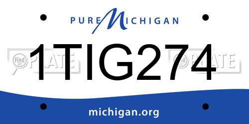 1TIG274 Michigan License Plate