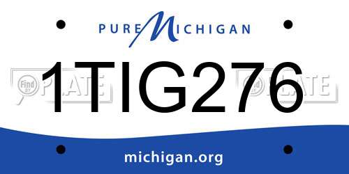 1TIG276 Michigan License Plate