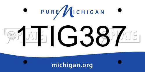 1TIG387 Michigan License Plate