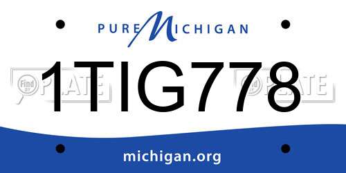 1TIG778 Michigan License Plate