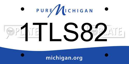 1TLS82 Michigan License Plate