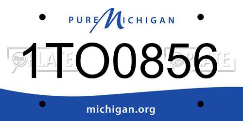 1TO0856 Michigan License Plate