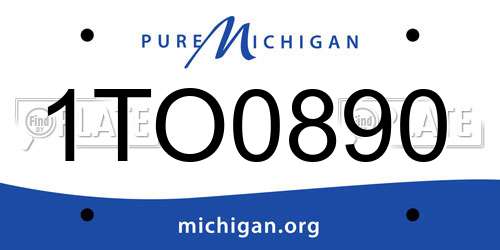 1TO0890 Michigan License Plate