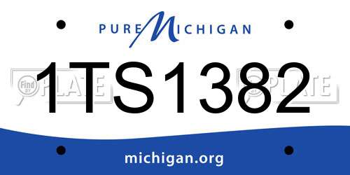 1TS1382 Michigan License Plate