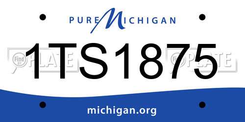 1TS1875 Michigan License Plate