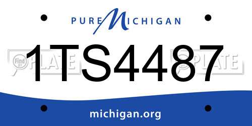 1TS4487 Michigan License Plate