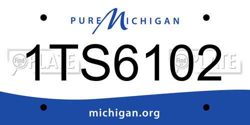 1TS6102 Michigan License Plate