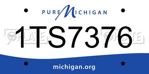 1TS7376 Michigan License Plate