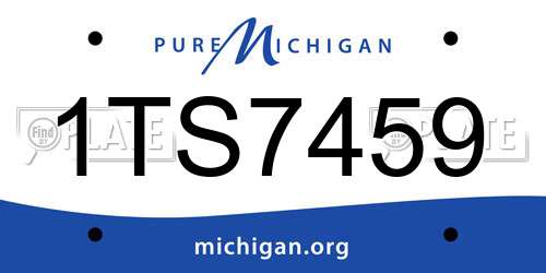 1TS7459 Michigan License Plate