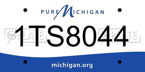 1TS8044 Michigan License Plate